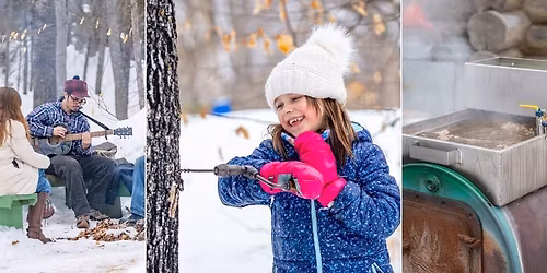 Maple, Music, & Phenology