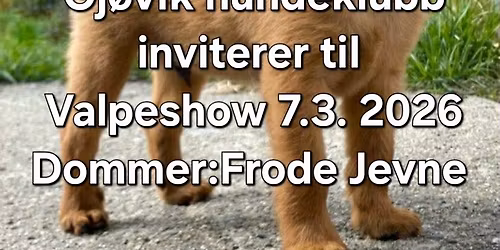 Valpeshow 7 mars, 2026.