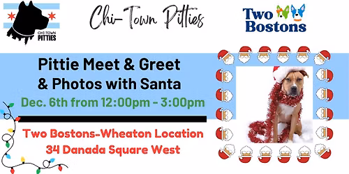 December Pittie Meet & Greet & Photos with Santa 