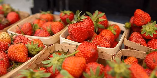 Northcenter Farmers Market