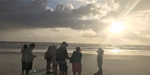 Sunrise Dolphin Beach Walk