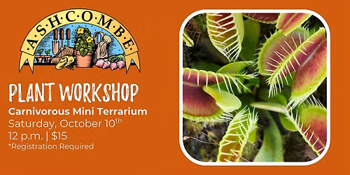 Carnivorous Mini Terrarium