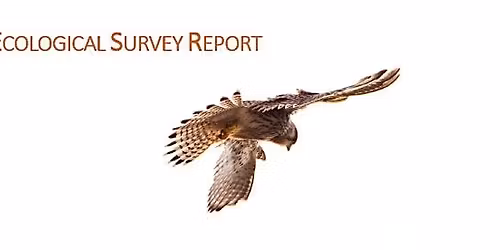 The Ecological Value of Rimrose Valley (Public)