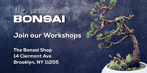 BYOBonsai Pruning and Wiring Class, 4\/25