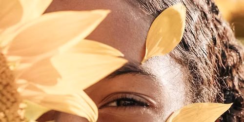Sunflower Minis \ud83c\udf3b