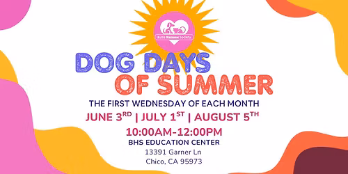 Dog Days of Summer at Butte Humane Society