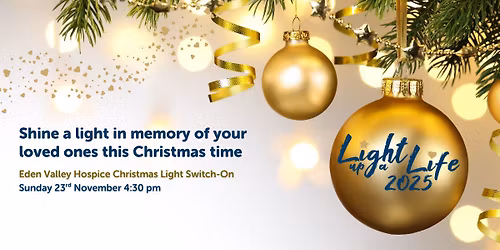 Light up a Life Hospice Christmas Lights Switch-On