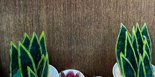 Fused Glass Open Studio