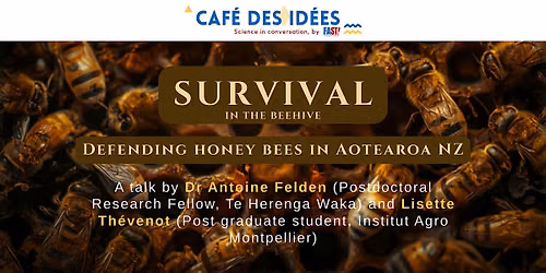 Caf\u00e9 des Id\u00e9es in Wellington - Survival in the beehive