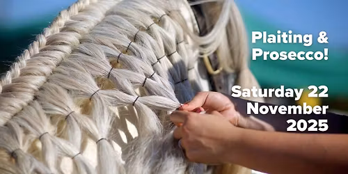 Plaiting & Prosecco Clinic