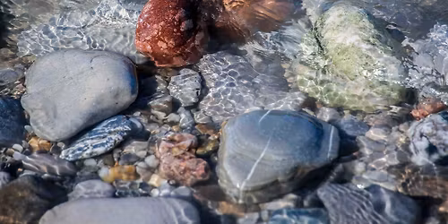 Kieselsteinf\u00fchrung - Eine Entdeckungsreise durch die Welt der Steine