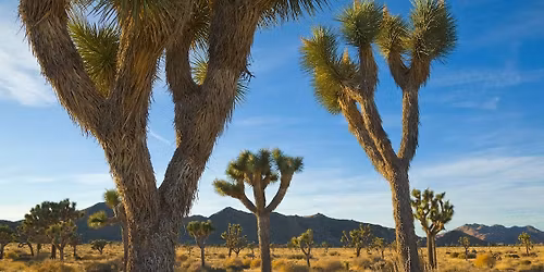National Geographic Live - Palm Desert