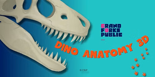 Dino Anatomy 3D