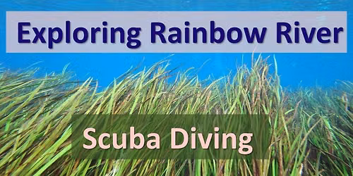 Rainbow River Guided Dive\/Snorkel
