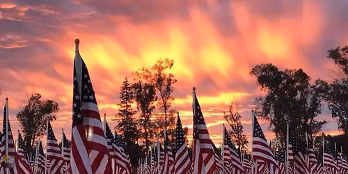 Warbird "Field of Honor" Flag Installment Event