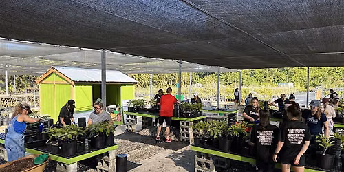Tree Nursery Volunteer Day | General Public (6\/26\/26)