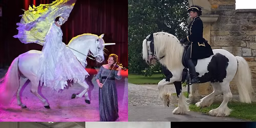 Klassische Dressurtage mit Andrea Schmitz , im Vertrauen mit deinem Pferd