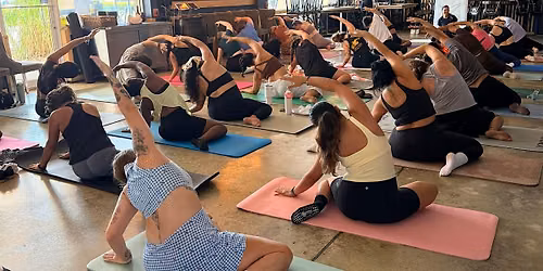 Planks, Prosecco & Puppies!