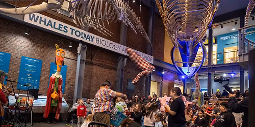 City Celebrates NYE! Toe Jam Puppet Band