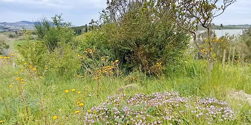 Passeggiata fitoalimurgica