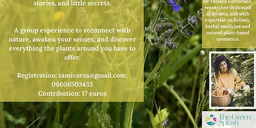 URBAN HERBAL WALK