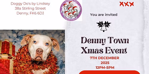 Denny Town Xmas Event 