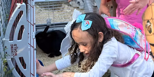 Mother's Day at Hanson's Garden Village