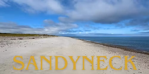 Sandy Neck Project