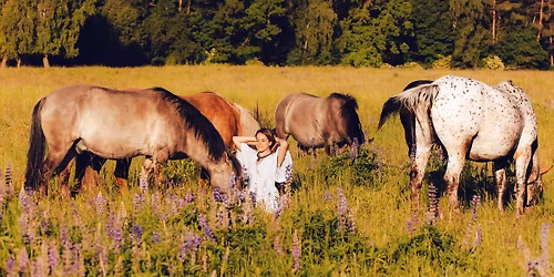 Ob\u00f3z Konny Maj\u00f3wkowy- Powr\u00f3t do Przesz\u0142o\u015bci -Brak miejsc 