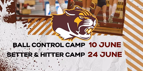 ELITE CAMP SERIES: SETTER & HITTER CAMP