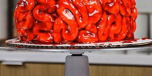 Bloody Brain Cake Decoration Class