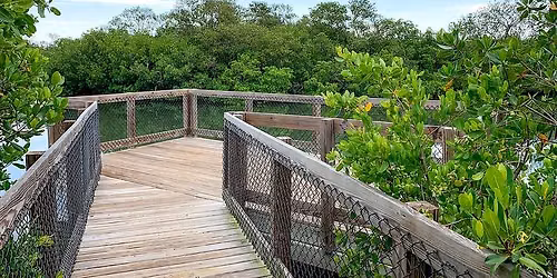 3rd Saturday Walk - Clam Bayou Preserve (St. Pete)