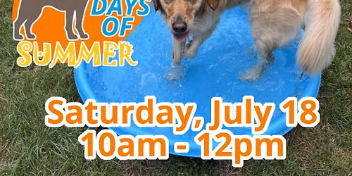 Dog Days of Summer