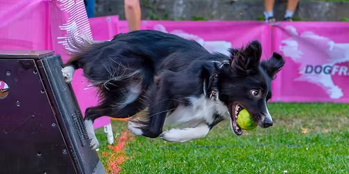 Trening otwarty w Speed Hunters Flyball Team