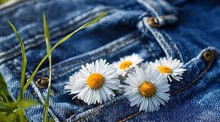 *DENIM & DAISIES* FASHION SHOW*