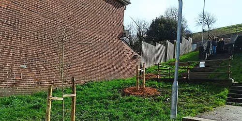 Pocket Park Prep Day \u2013 Turf Stripping & Shaping