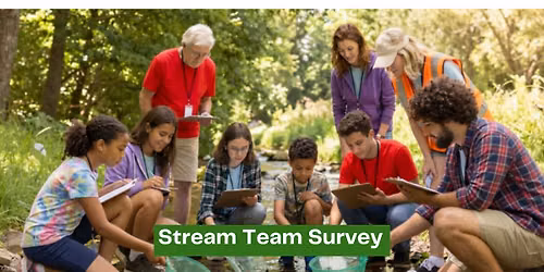 Stream Team Survey