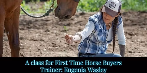 Horse Buying 101