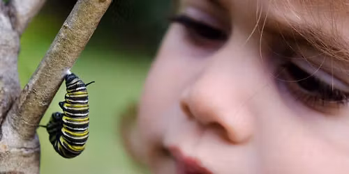 Children\u2019s Butterfly Garden!
