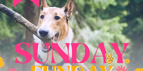 Sunday Funday - May #4
