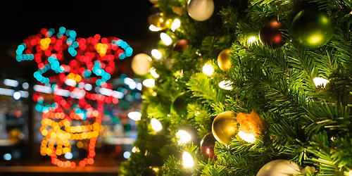 Zoo Gift of Lights 2025