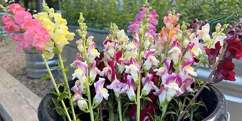 Beer & Blooms: Peak Summer Flowers Edition (2026)