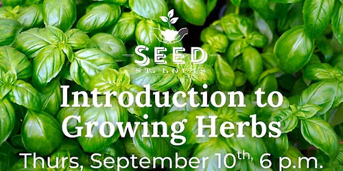 Introduction to Growing Herbs