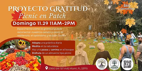 Proyecto Gratitud: Picnic en Patch