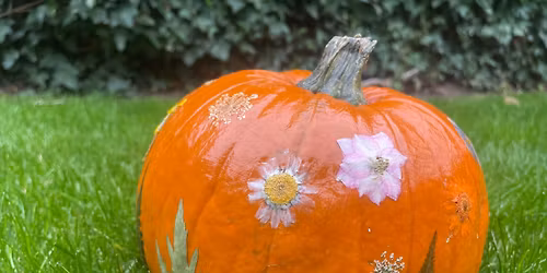 Mindful Pressed Flower Pumpkin Workshop