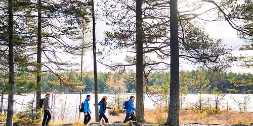 N\u00e4vgr\u00f6t och fl\u00e4sk