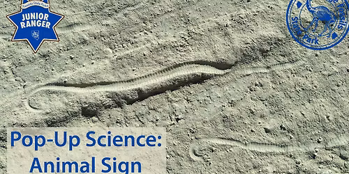 Pop-Up Science: Animal Sign
