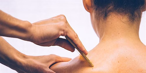 TCM Wellness Workshop :  Gua Sha and acupuncture for chronic pain.