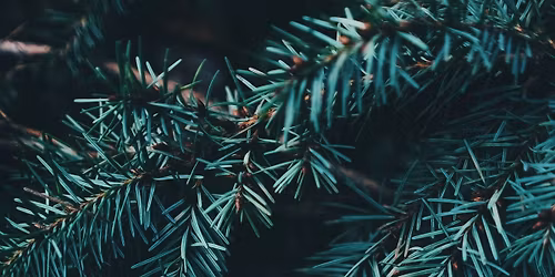 Advent Silent Retreat 