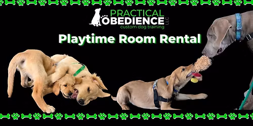 Playtime Room Rental